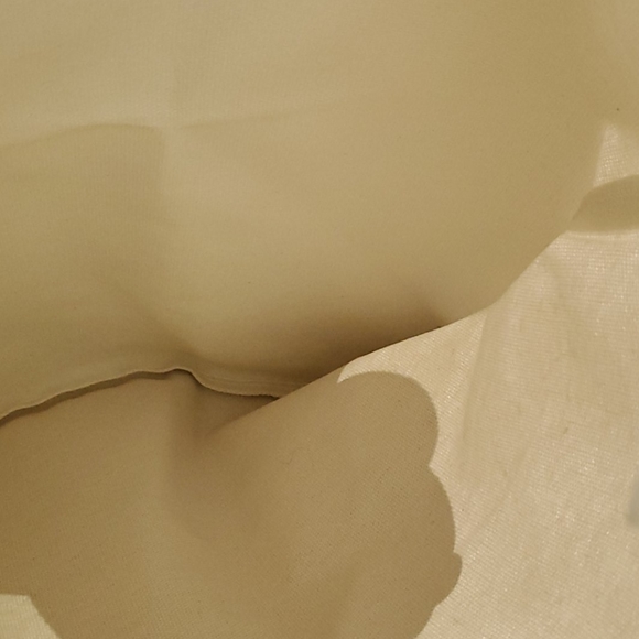 NWT We Bare Bears Grizzly, Miniso Tote ***BOUGHT IN JAPAN*** Grumpy Bear - Picture 6 of 8